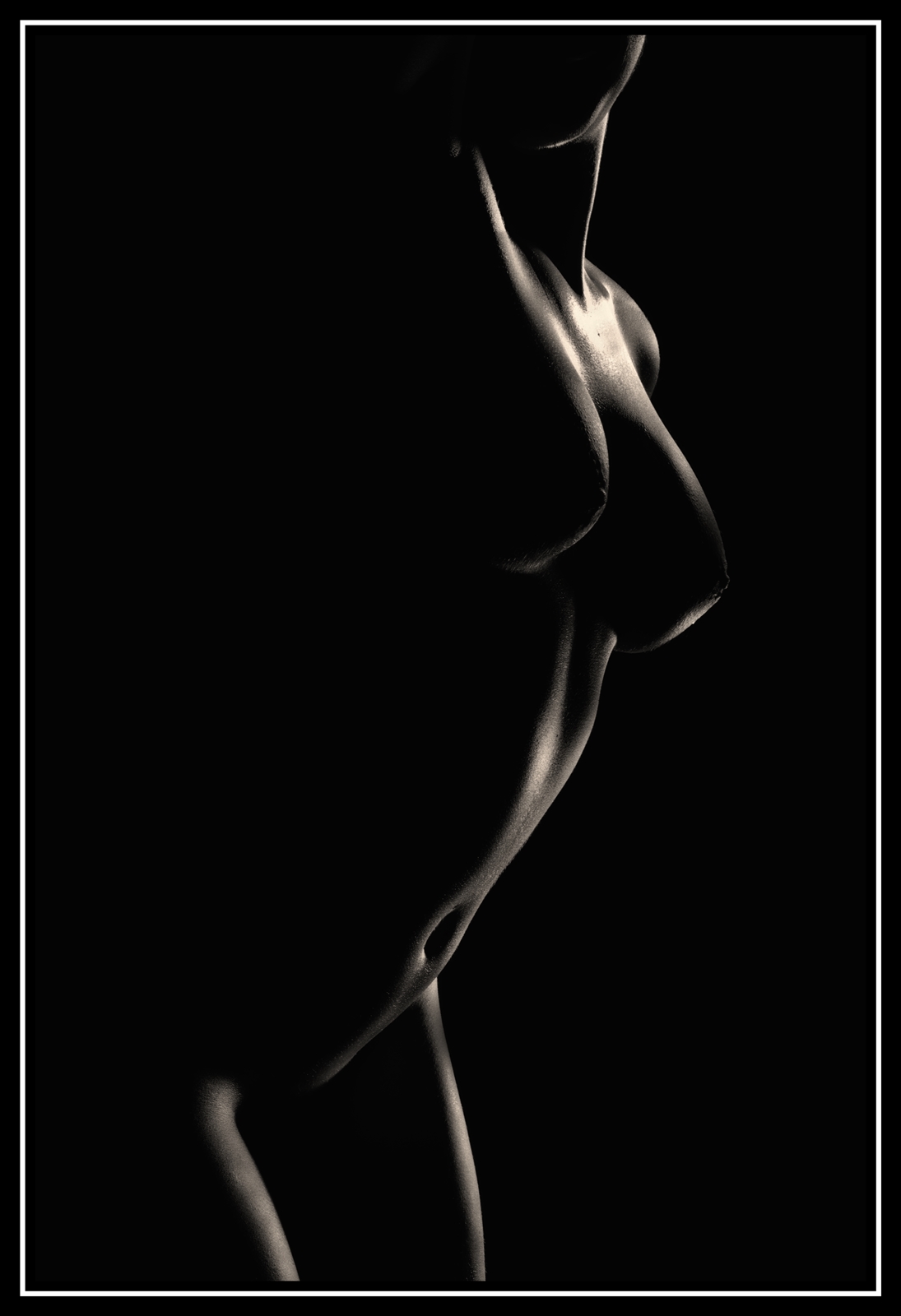 Lb   01   1241web